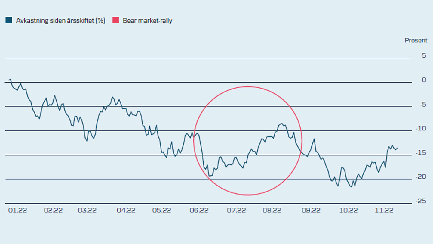 Graf bear market rally vs avkastning globale aksjer