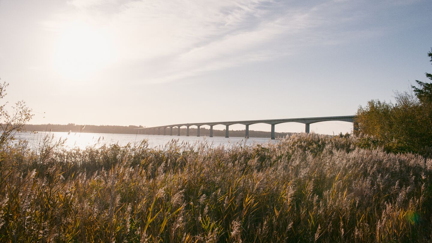 Bildet viser en bro over en elv med solen i bakgrunnen og en eng i forkant. Det er sommer.