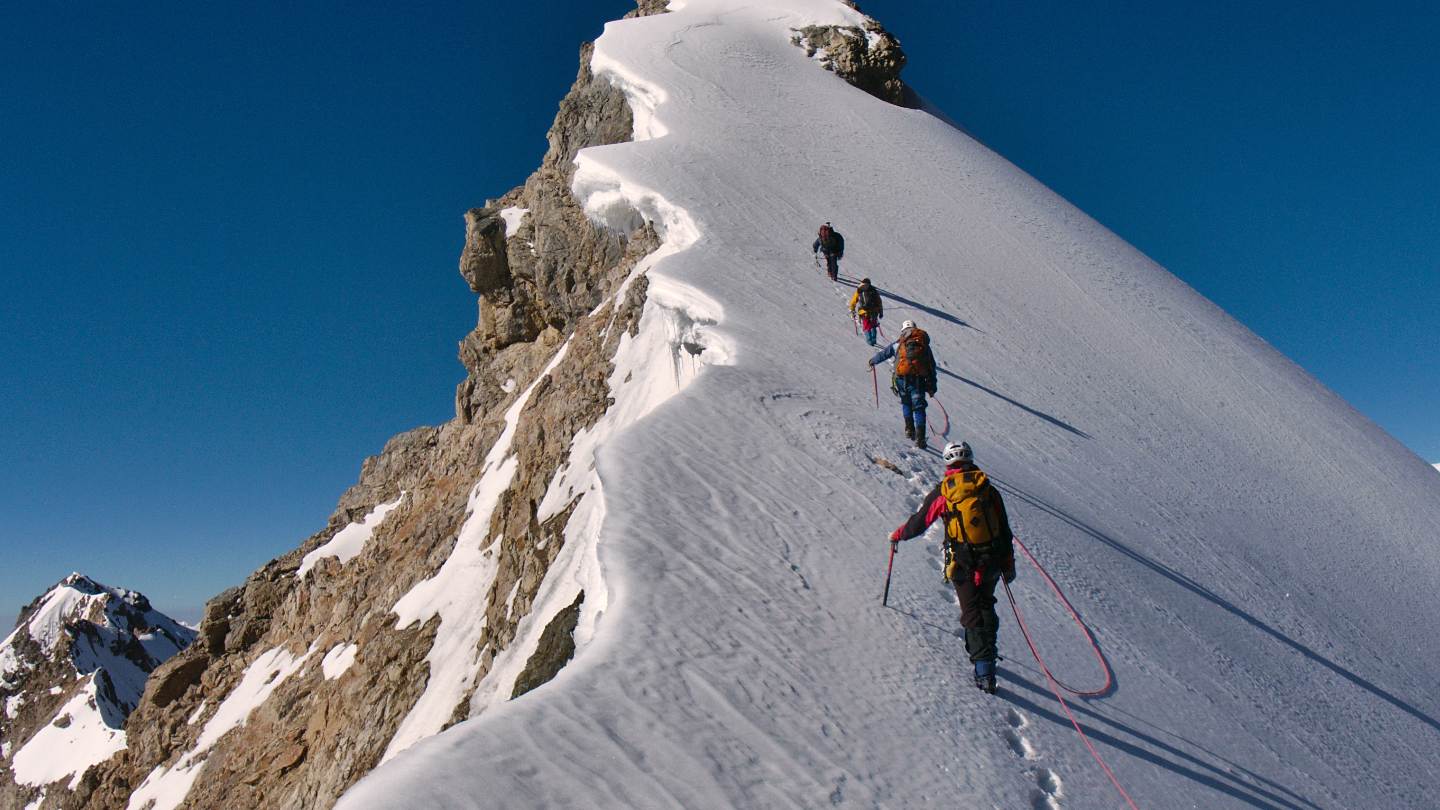 Boersrekorder og ryggmargsreflekser